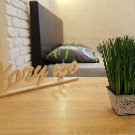 New Luxury Studio Apartment Ivano-Frankivsk Eksteriør billede