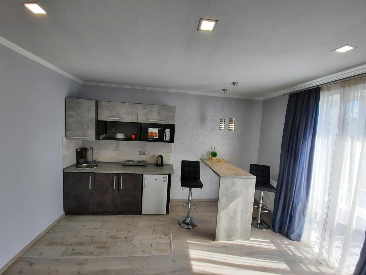 New Luxury Studio Apartment Ivano-Frankivsk Eksteriør billede