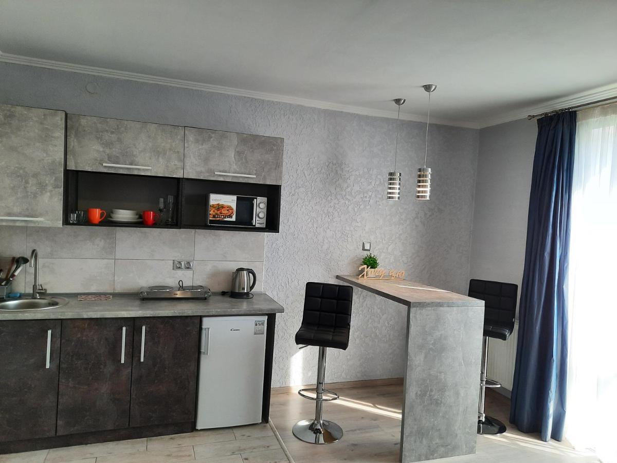 New Luxury Studio Apartment Ivano-Frankivsk Eksteriør billede