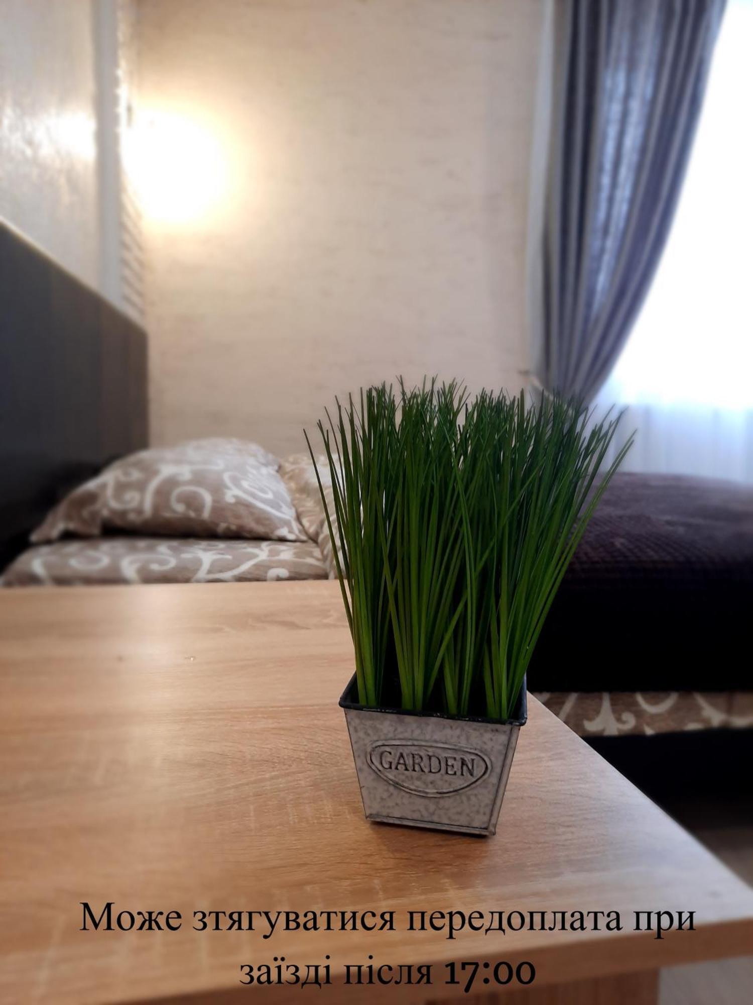 New Luxury Studio Apartment Ivano-Frankivsk Eksteriør billede